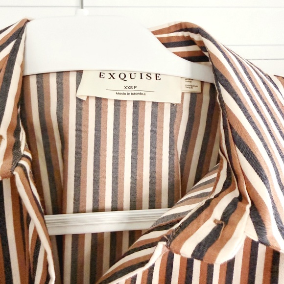 The Tobie Shirt Dress for Petites - Picture 3 of 4